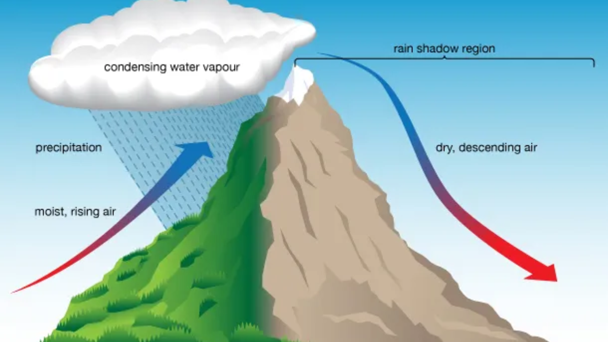 Urban Microclimates