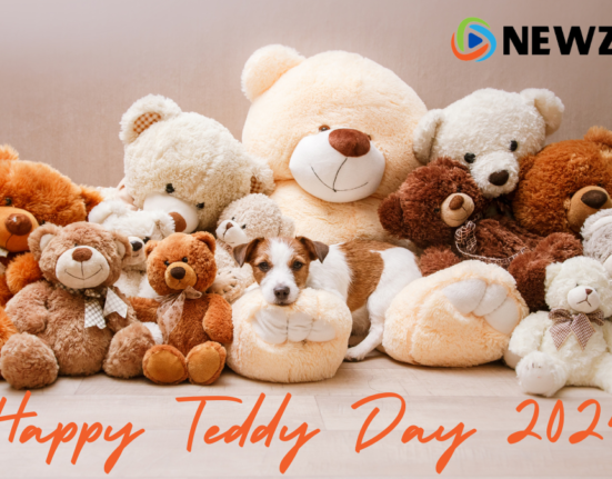 Teddy Day 2024: From date, history and significance; all you need to know